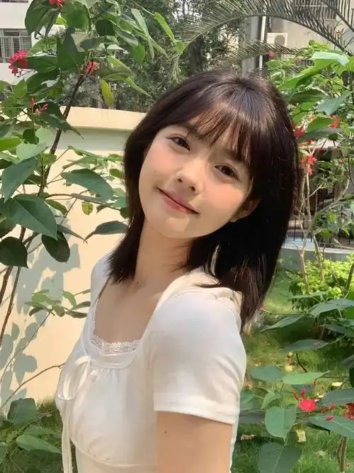 蜘蛛池在小程序内容优化中的使用方式